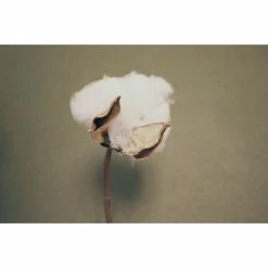 Elvang Denmark Elvang Lyme Grass Kissenhülle - 50x50 Cm - Beige -HEY-SIGN Verkaufsshop 474323 big 3